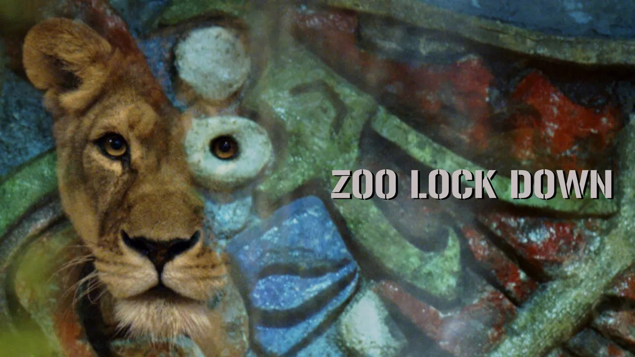 Zoo Lock Down backdrop