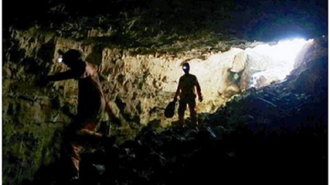 L’aube de l’humanité backdrop