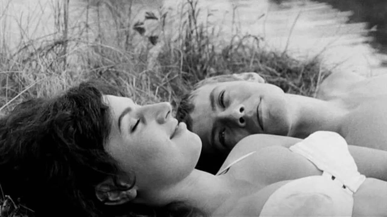 The Sun in a Net backdrop