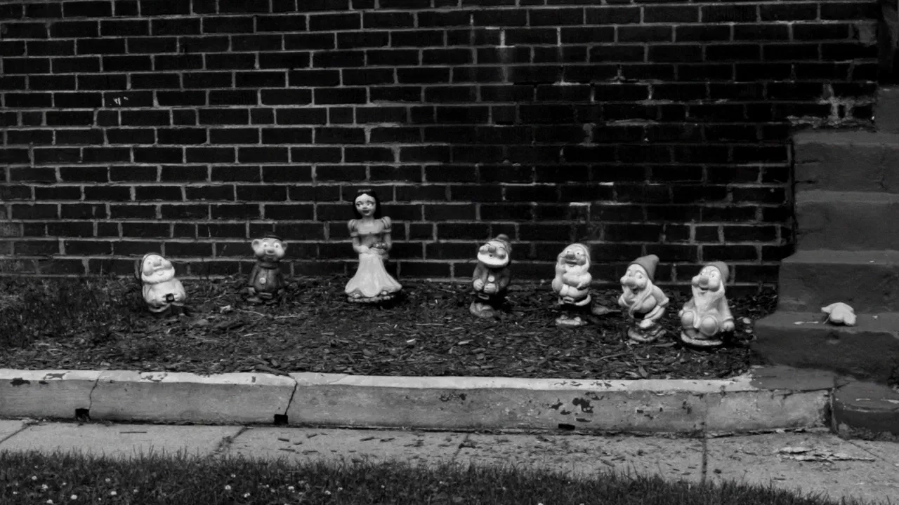 empty alice backdrop