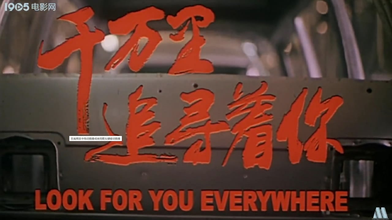 Look For You Everywhere backdrop