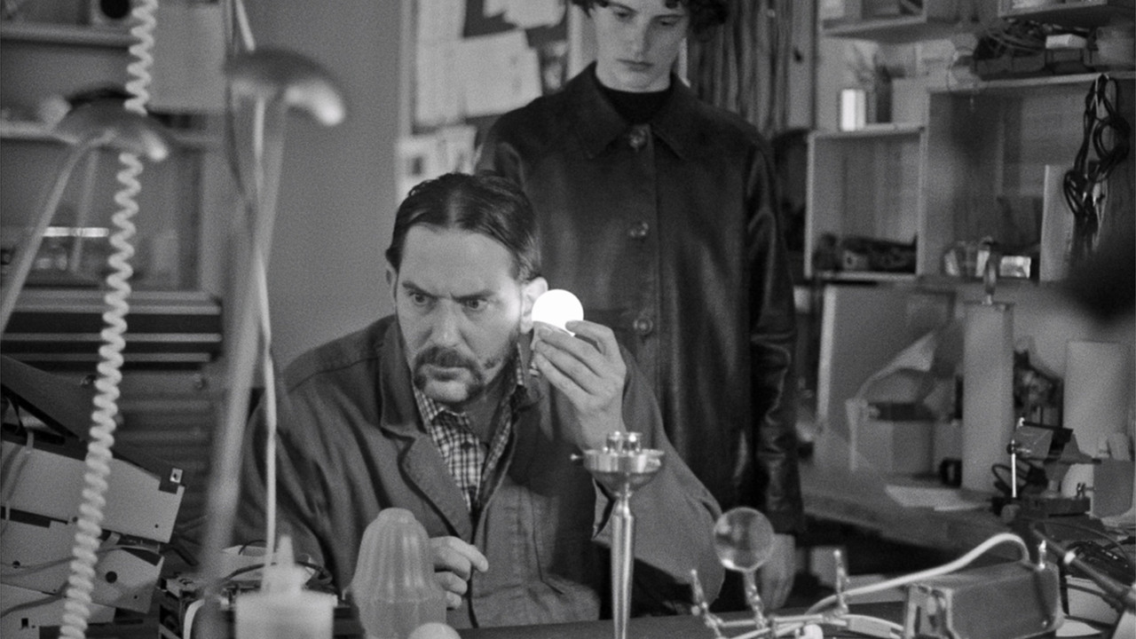 Electric Fields backdrop