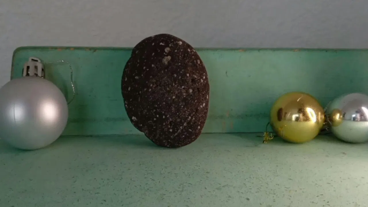 Dive Proyect backdrop