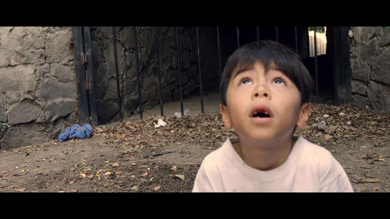 ¿Si Pudiera Interpellar Estrellas? backdrop