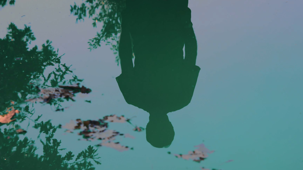 El verano sin fin backdrop