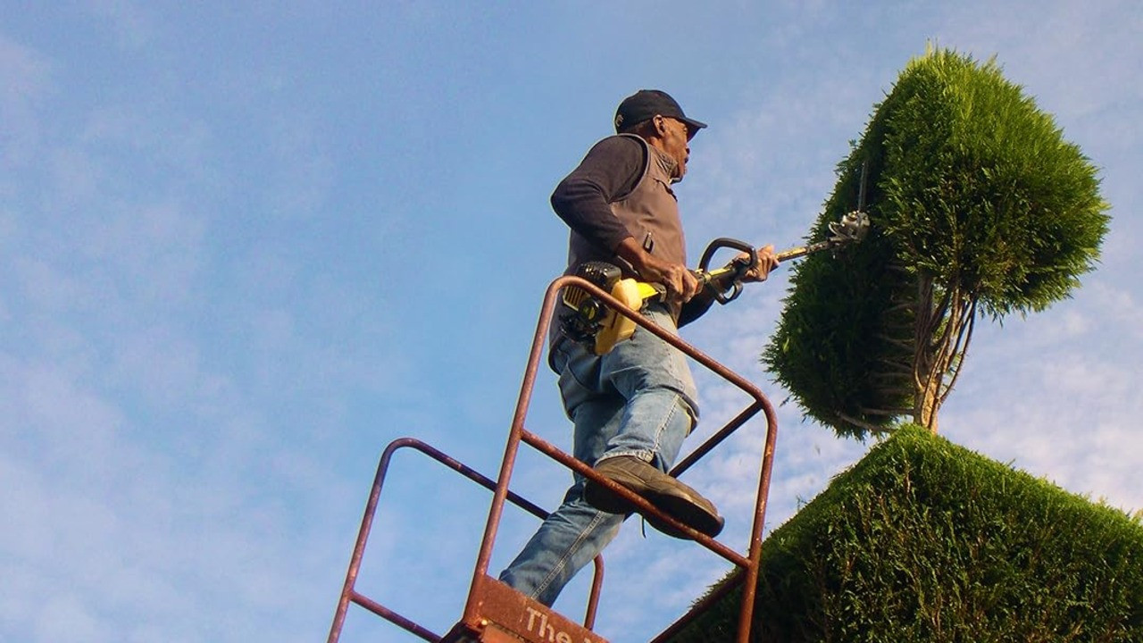 A Man Named Pearl backdrop