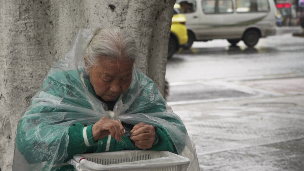 Lost Gardenias backdrop