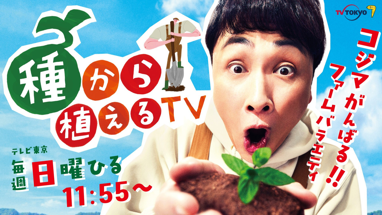 TANEKARA UERU TV backdrop