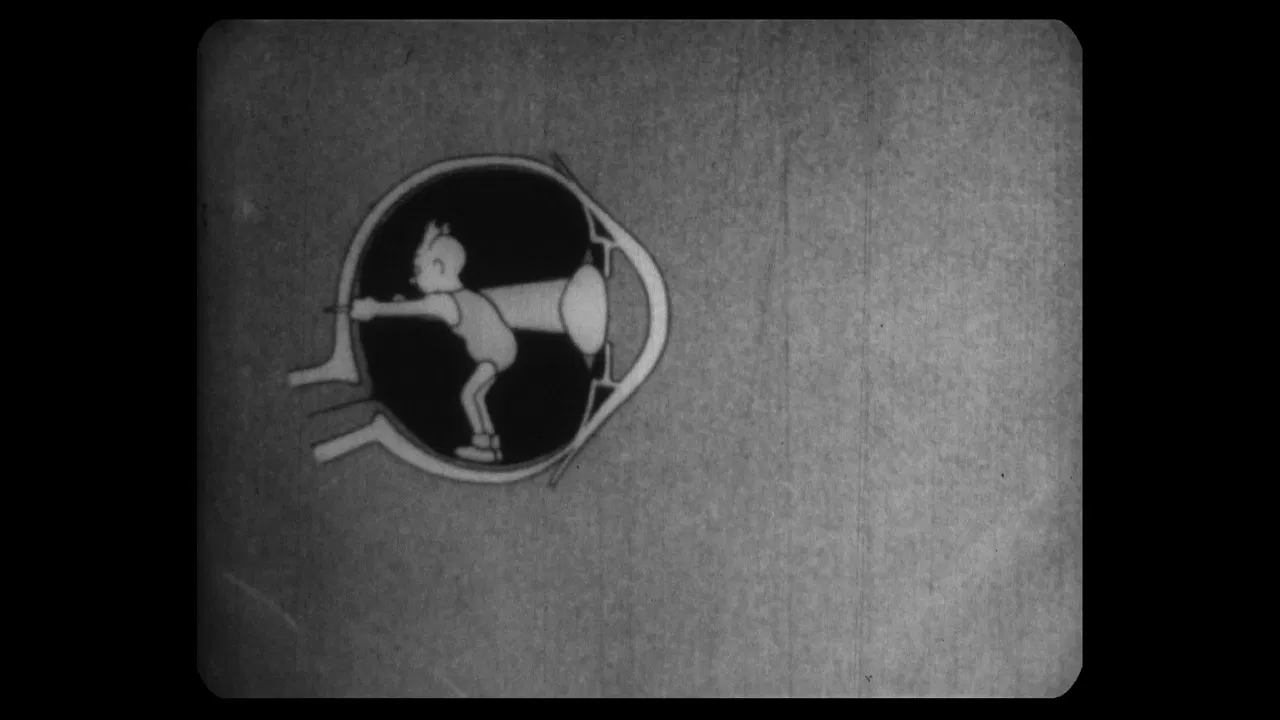 The Point of View backdrop