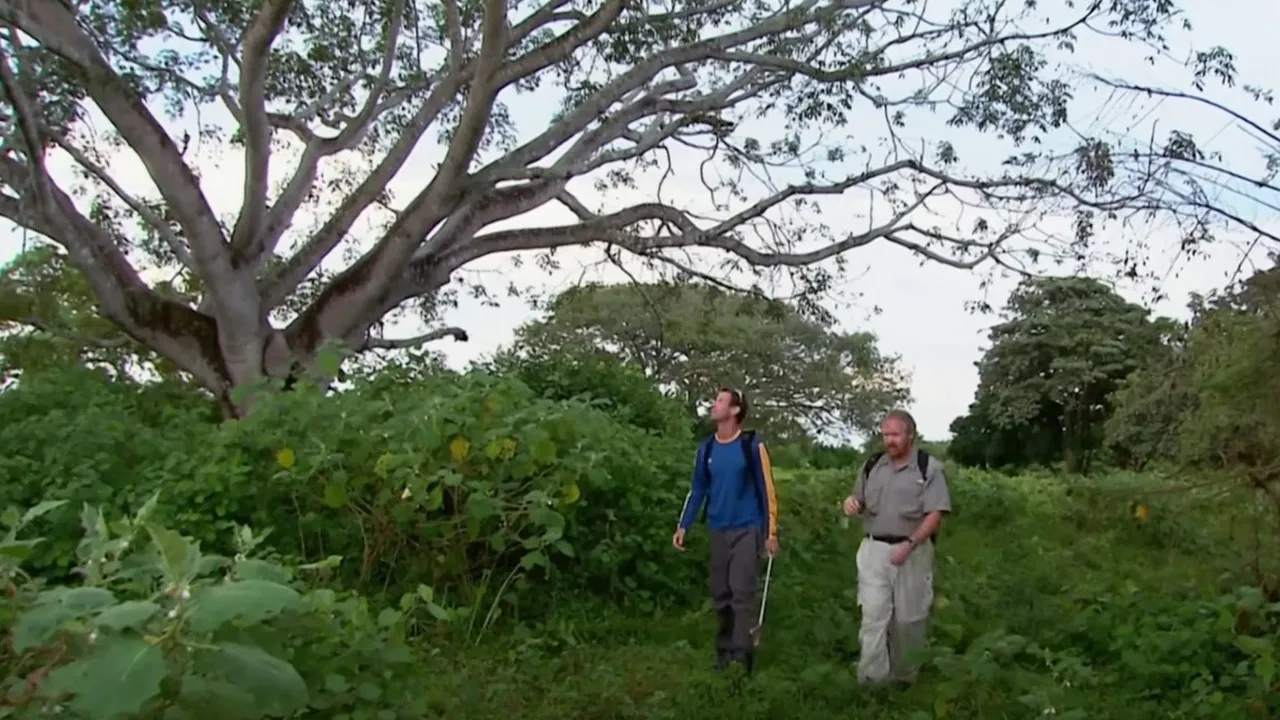 The Real Lost World backdrop