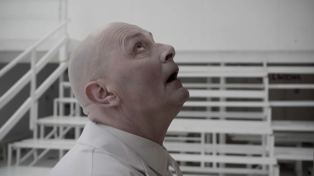 The Bookshelf backdrop