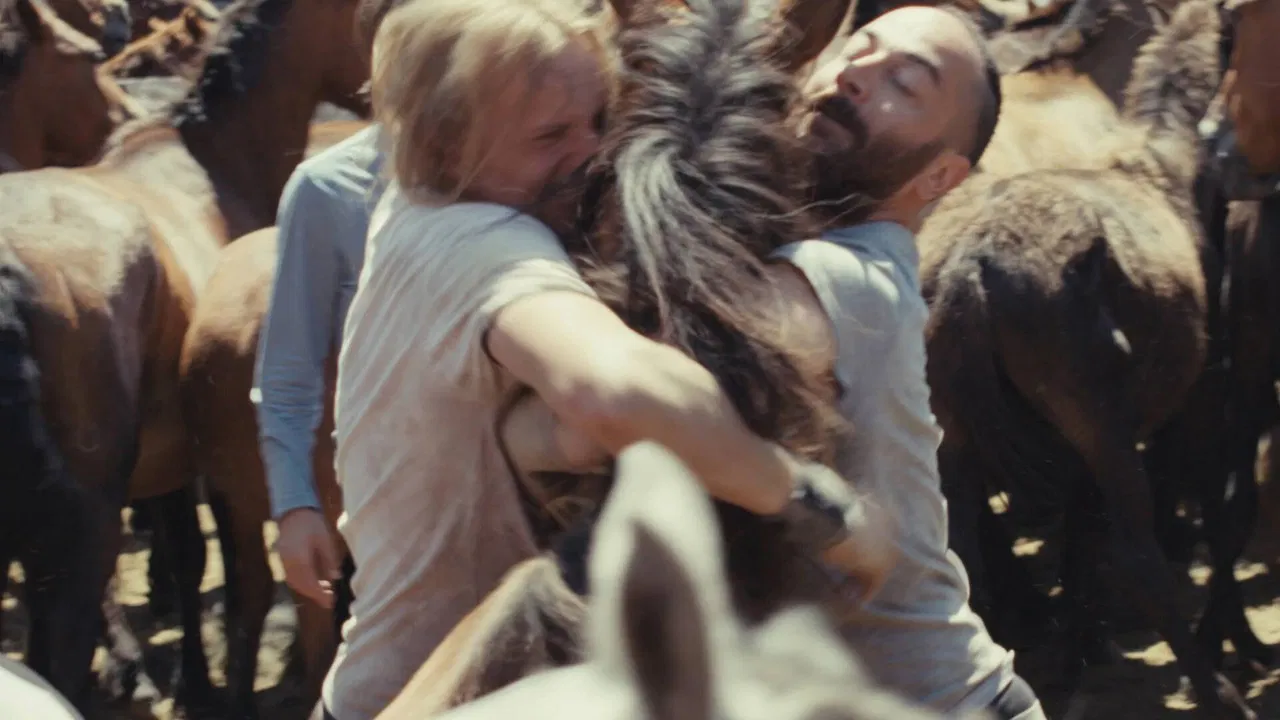 Rapa, xente ao monte backdrop