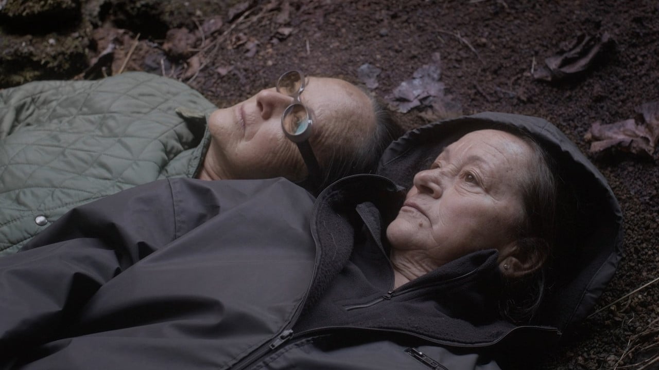 The Undergrowth backdrop