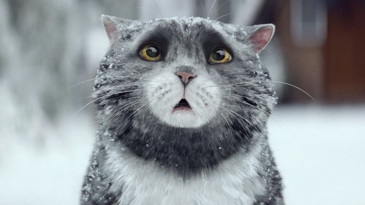 Sainsbury's: Mog's Christmas Calamity backdrop