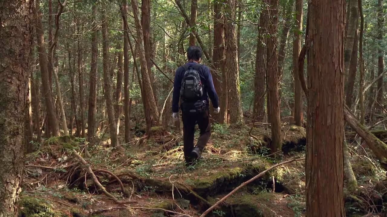 Aokigahara: Suicide Forest backdrop