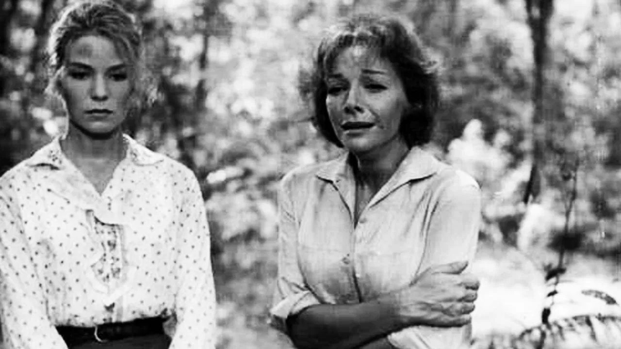 Homage at Siesta Time backdrop