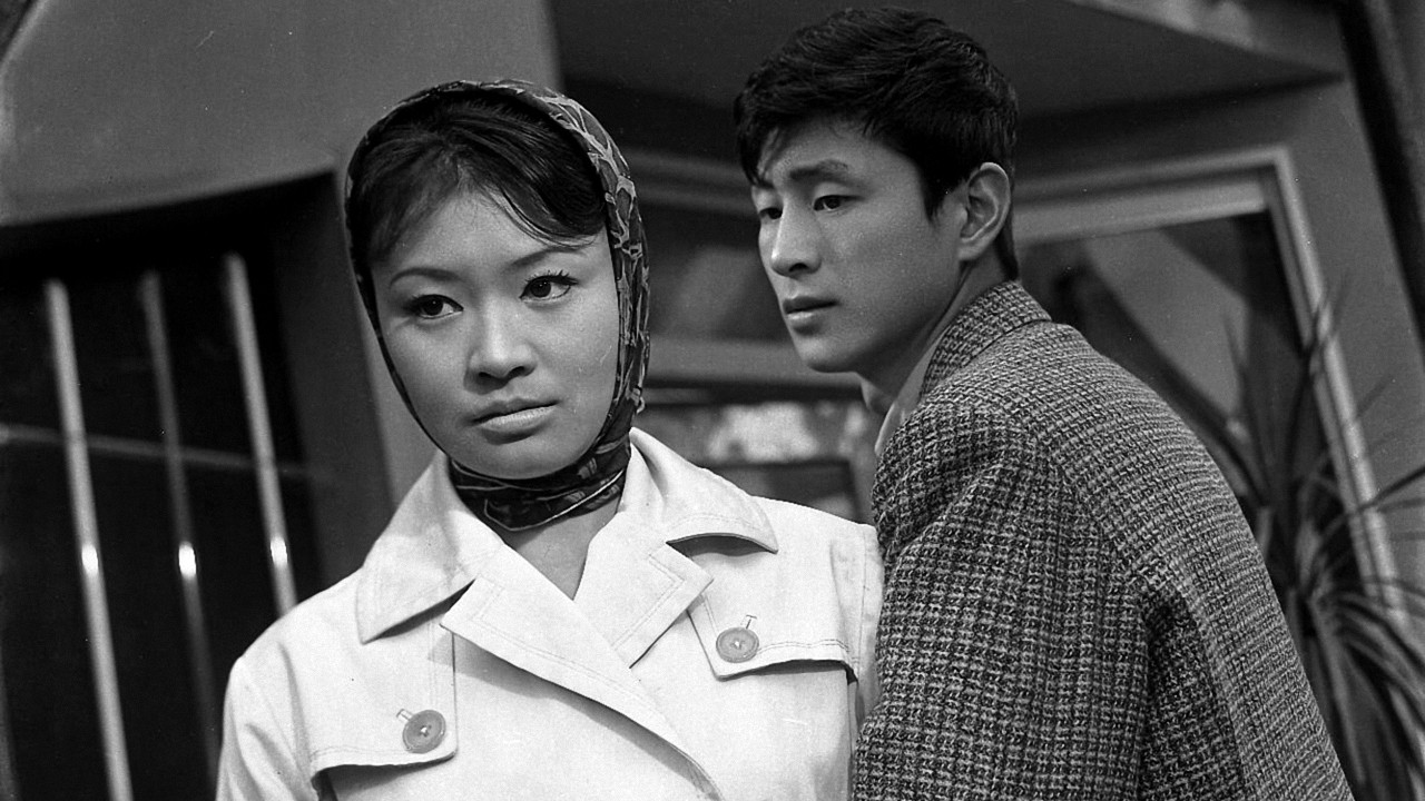 Flowers in the rain backdrop