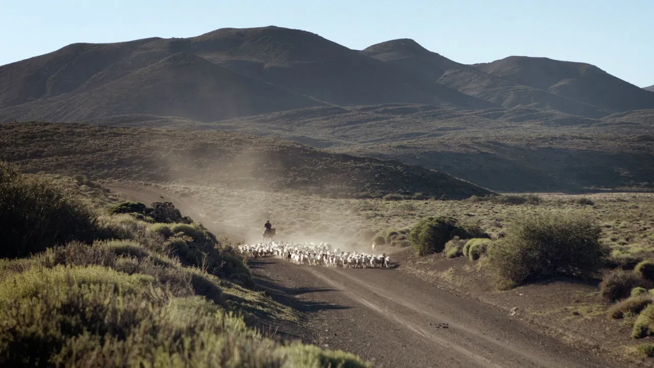 Escuela trashumante backdrop