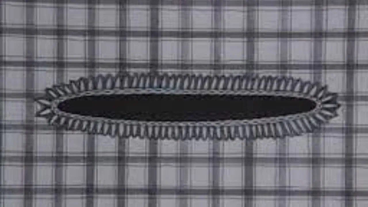 Disc Jockey backdrop