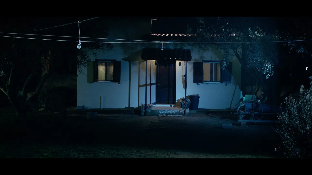 January 5th backdrop