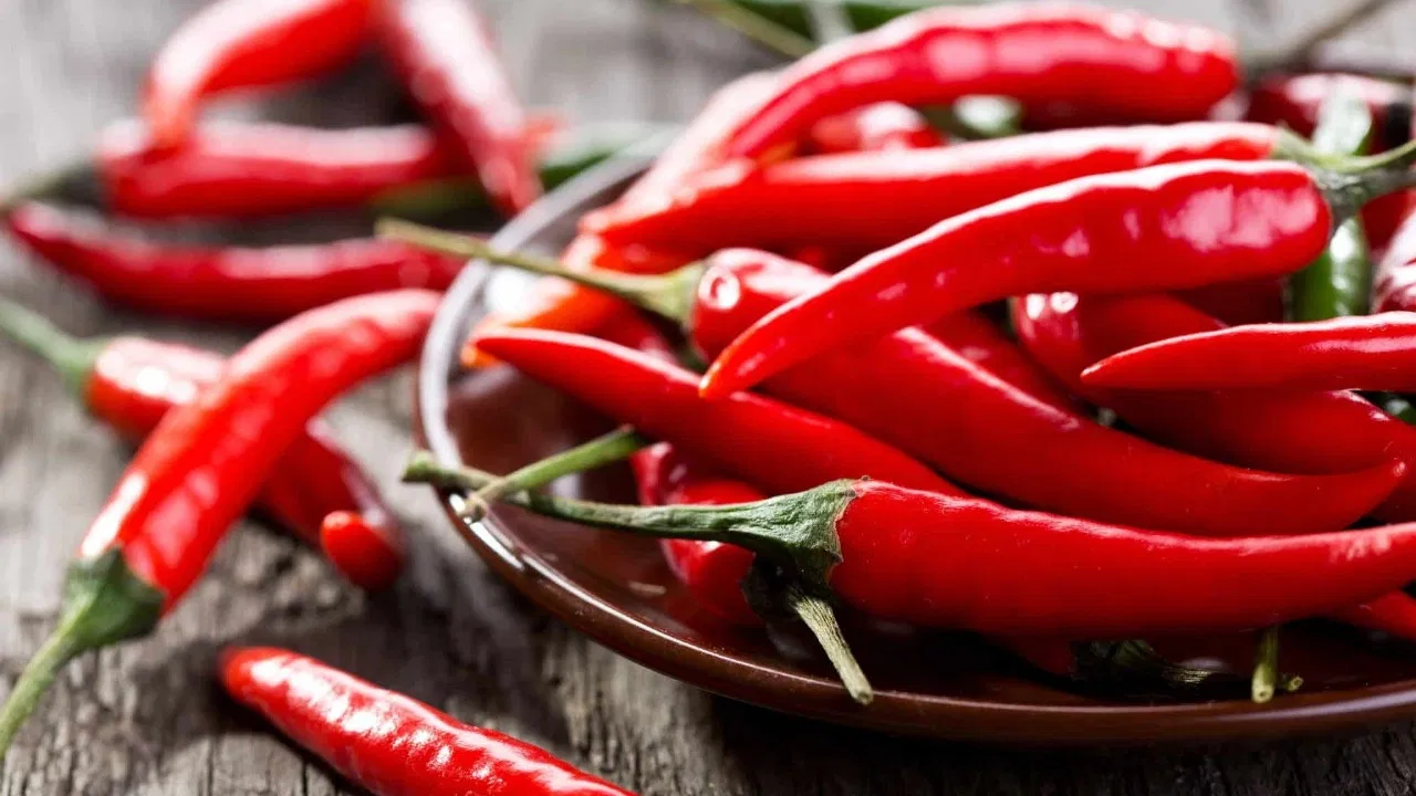 Le piment ne manque pas de piquant backdrop