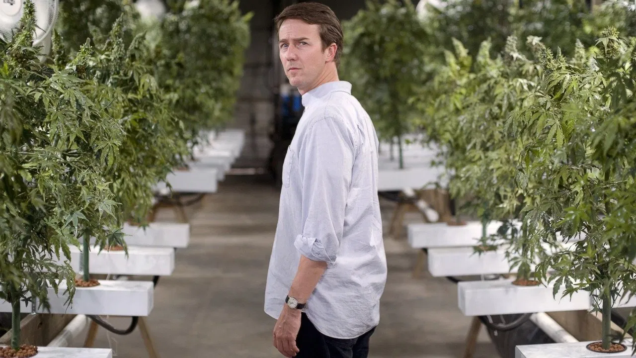 Leaves of Grass backdrop