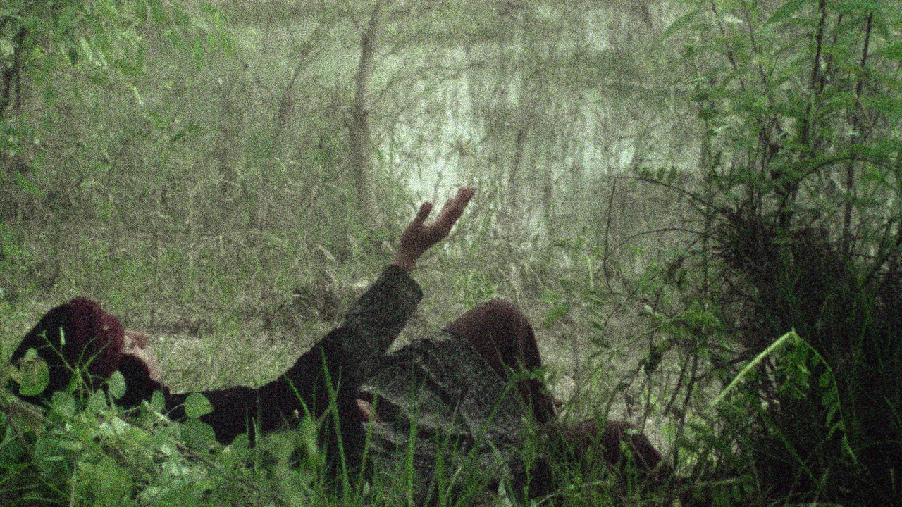 The Sealed Soil backdrop