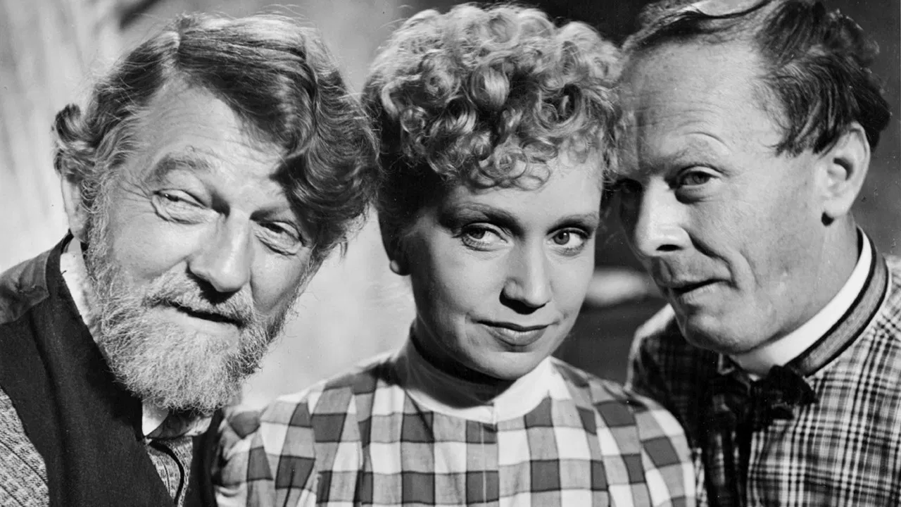 Bröderna Östermans huskors backdrop