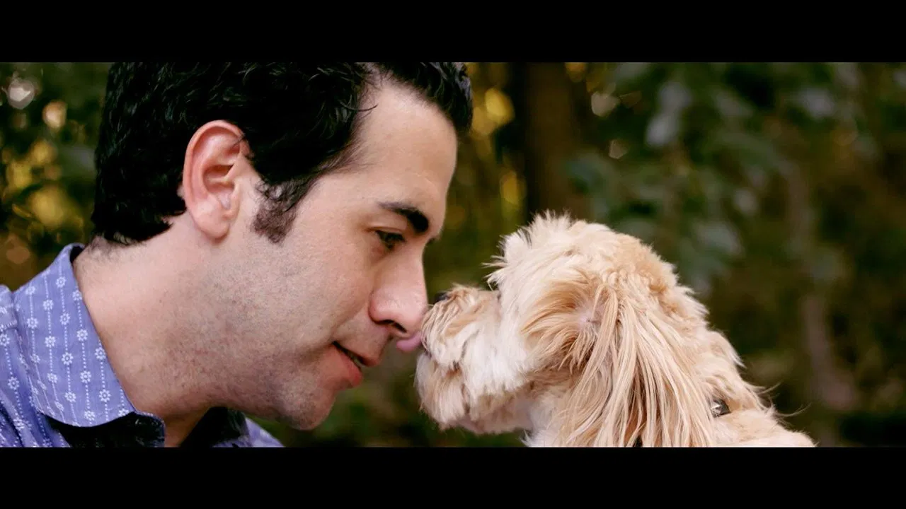 Dr. Cheapskate backdrop