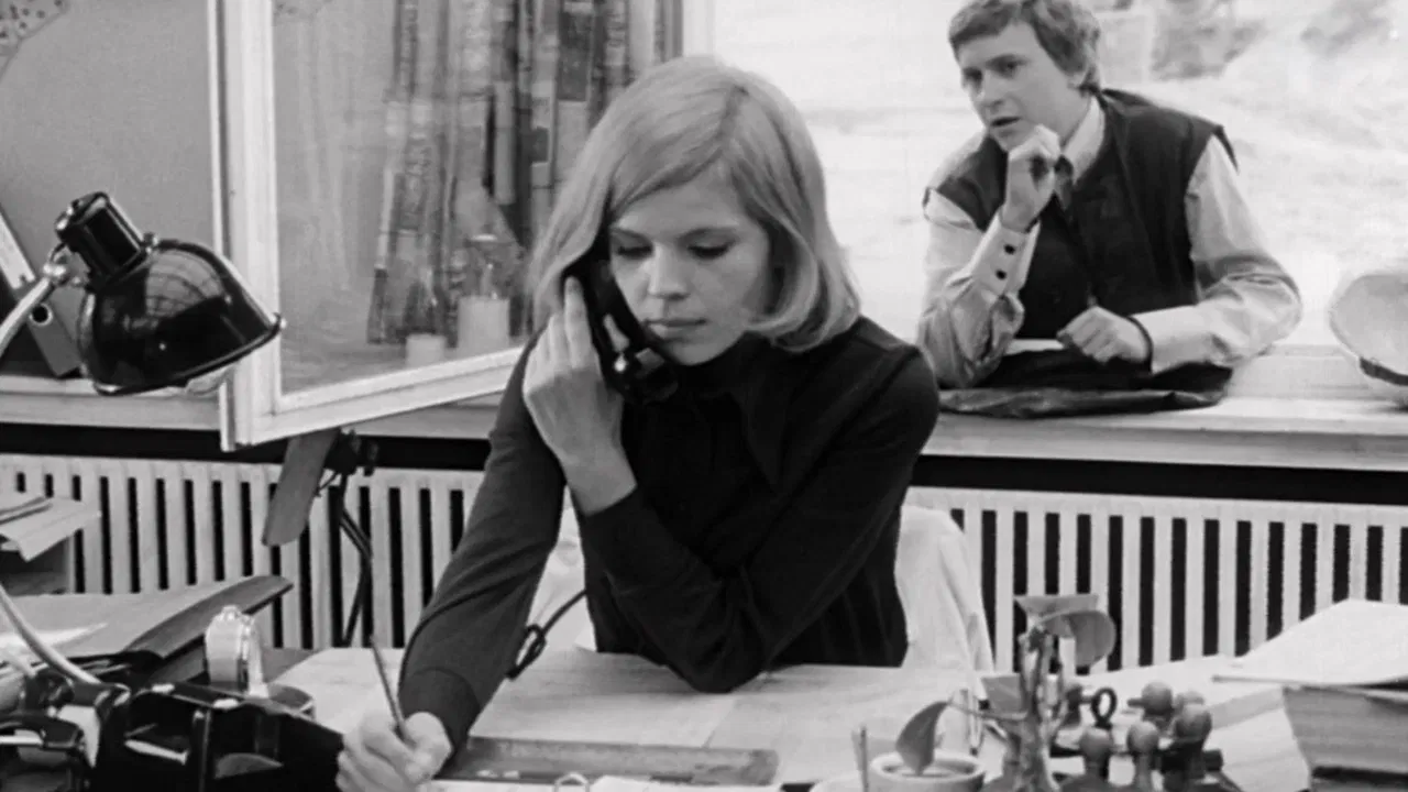 The Dove on the Roof backdrop