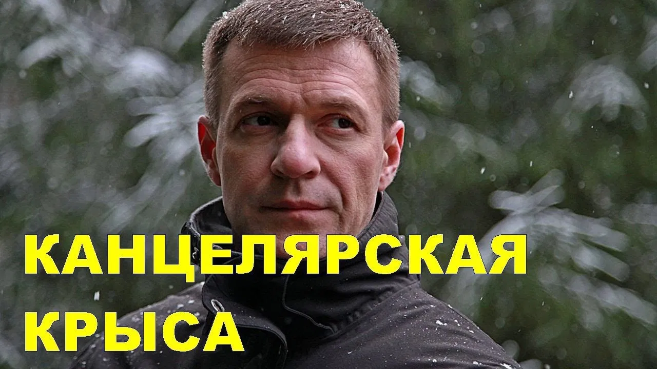 Stationery Rat backdrop