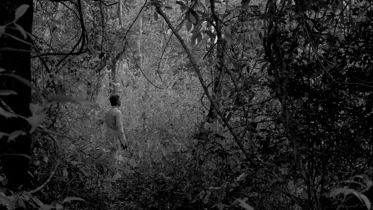 And What Is the Summer Saying? backdrop