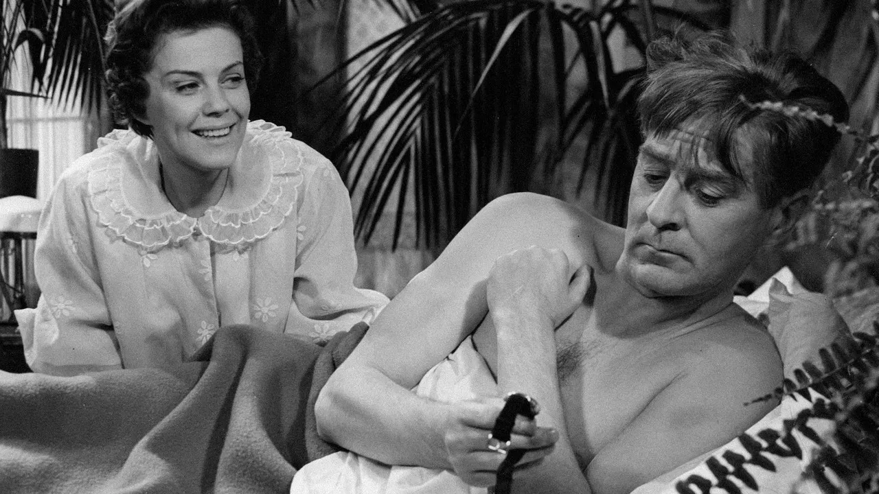 You Are My Adventure backdrop