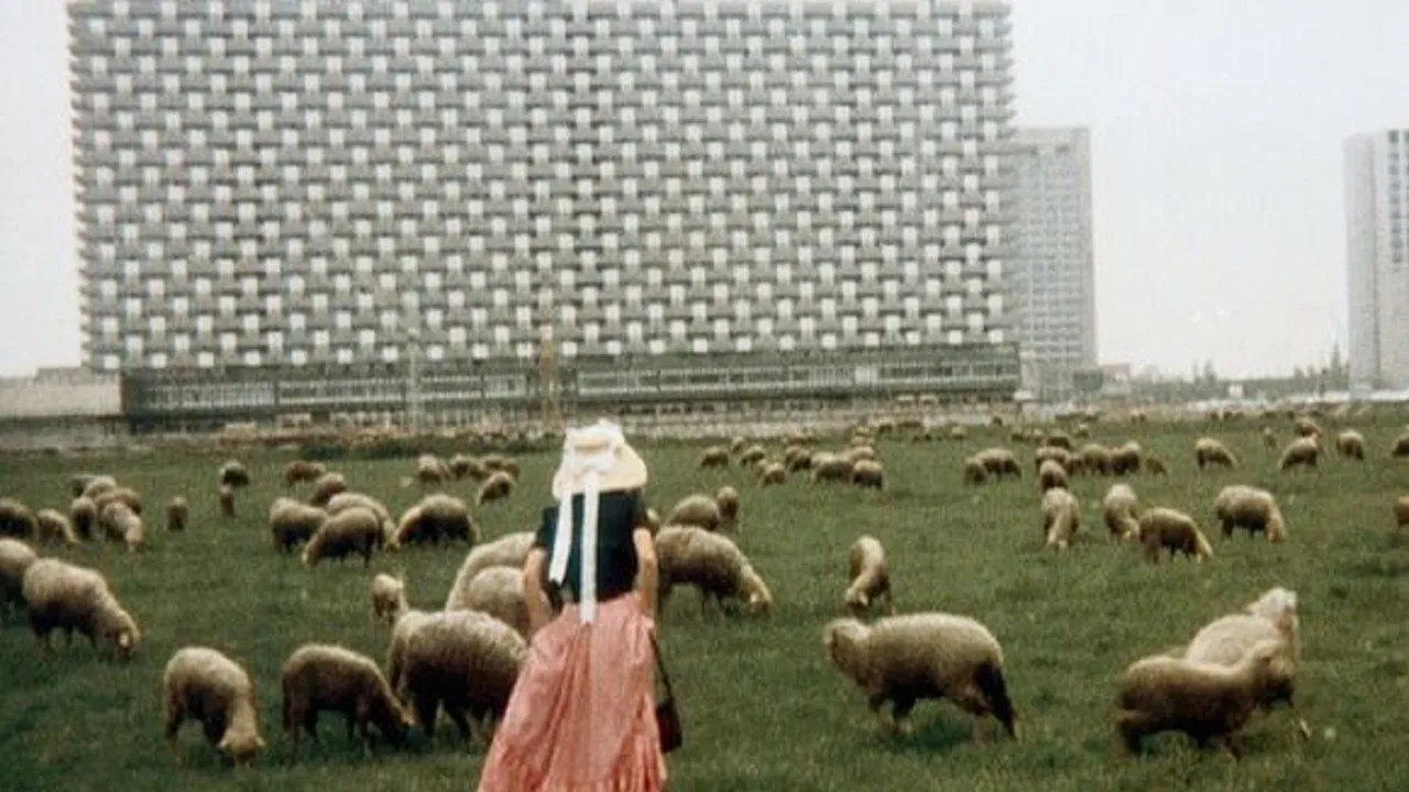 Liebe, so schön wie Liebe backdrop