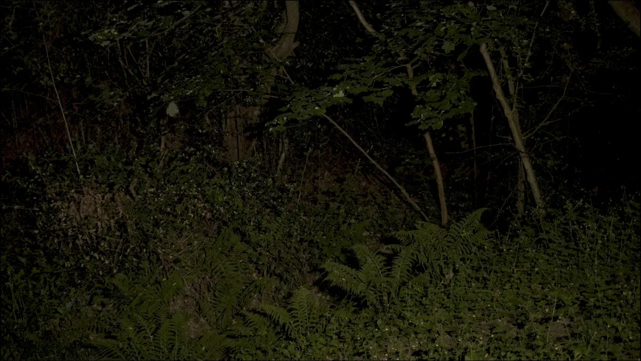 A Spring Unseen backdrop