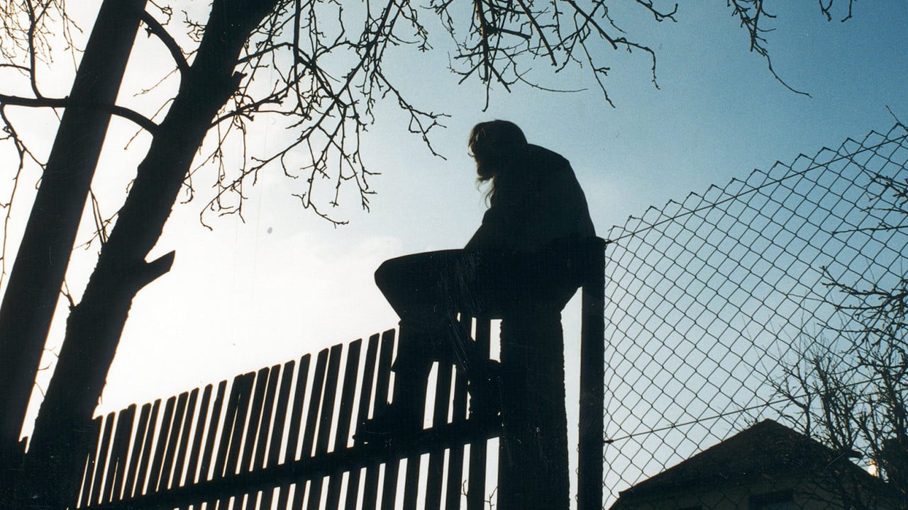 Across the Border: Five Views from Neighbours backdrop