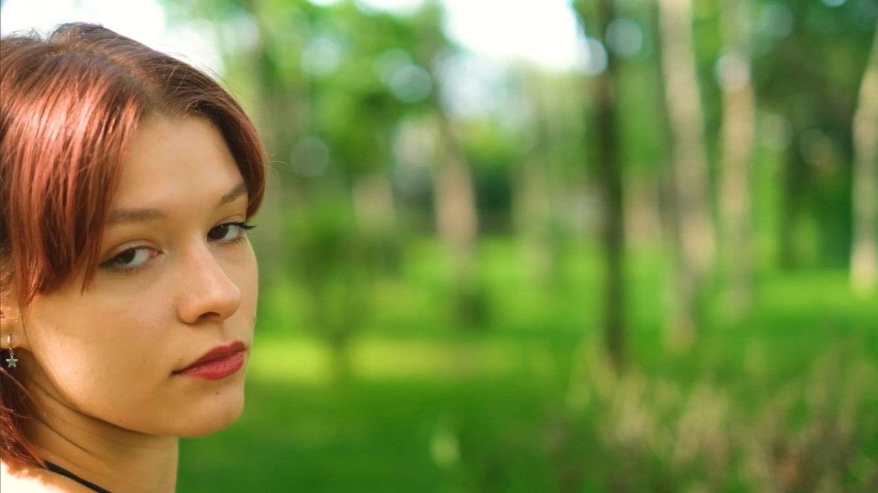 Poppies in Wind backdrop
