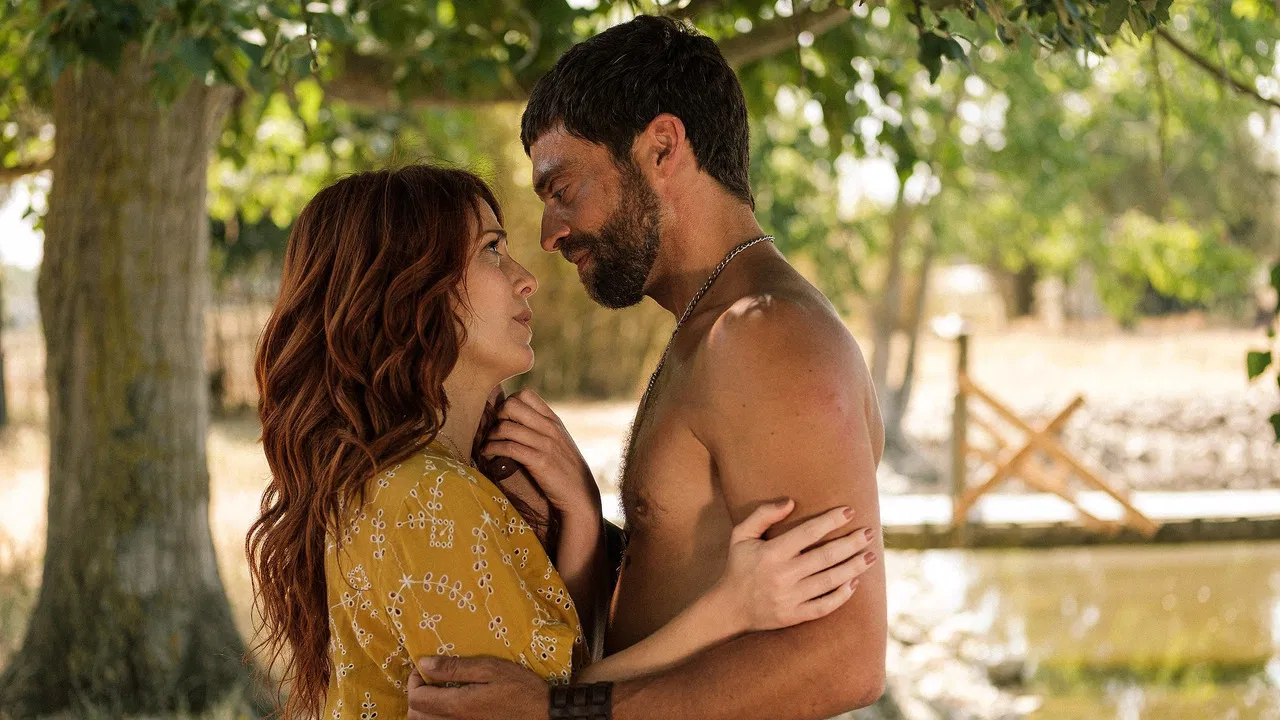 Pôr do Sol backdrop