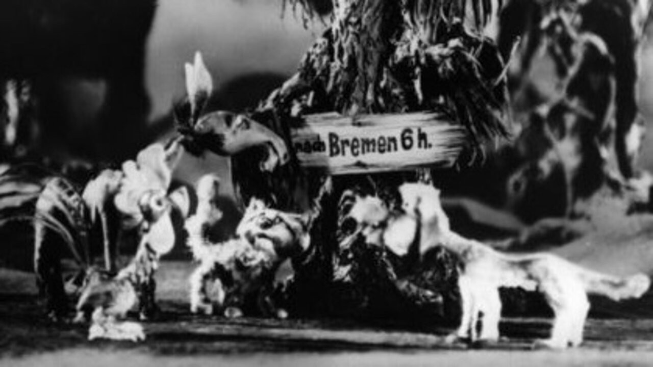 Die Bremer Stadtmusikanten backdrop