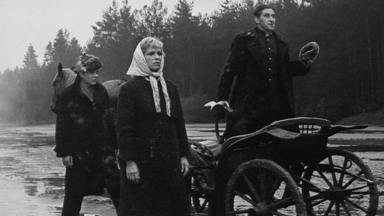 Stairway to Heaven backdrop