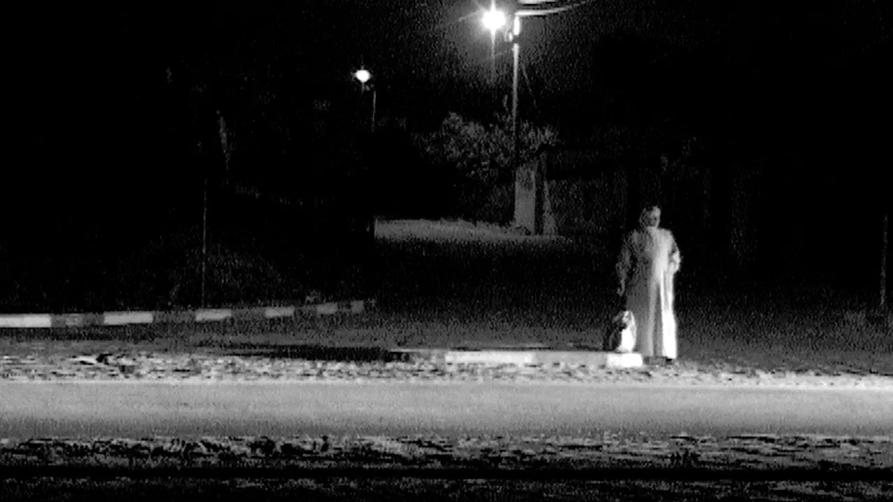 Visiting Hours backdrop