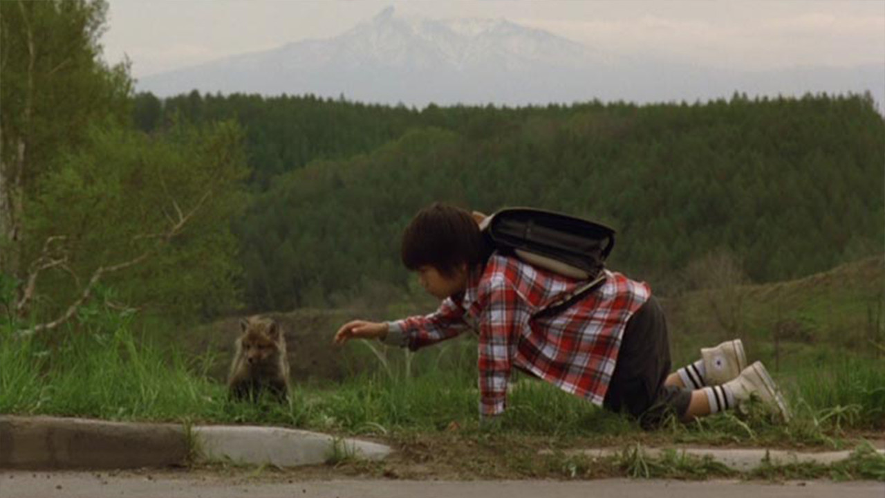 Helen the Baby Fox backdrop