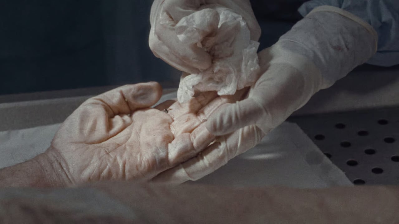 Pure Unknown backdrop