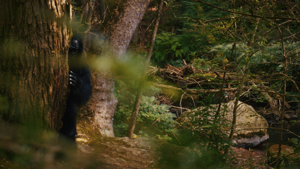 Willow Creek backdrop