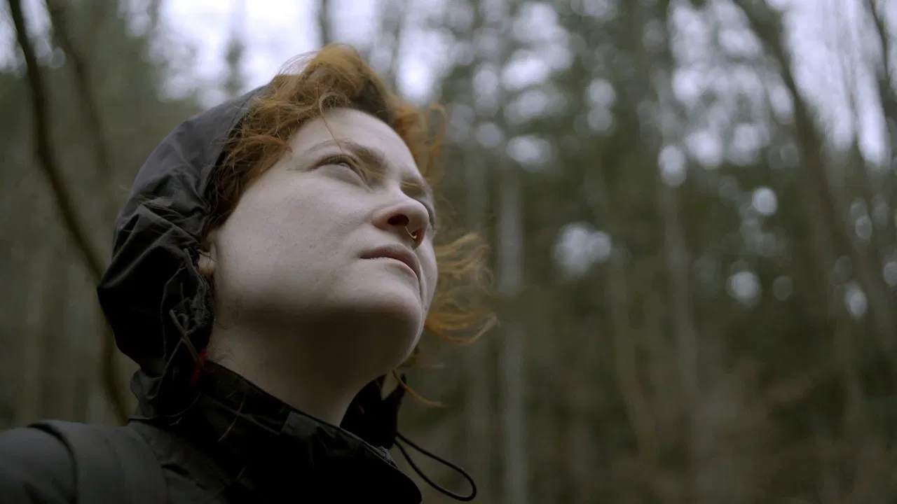 Fields of Žinas backdrop