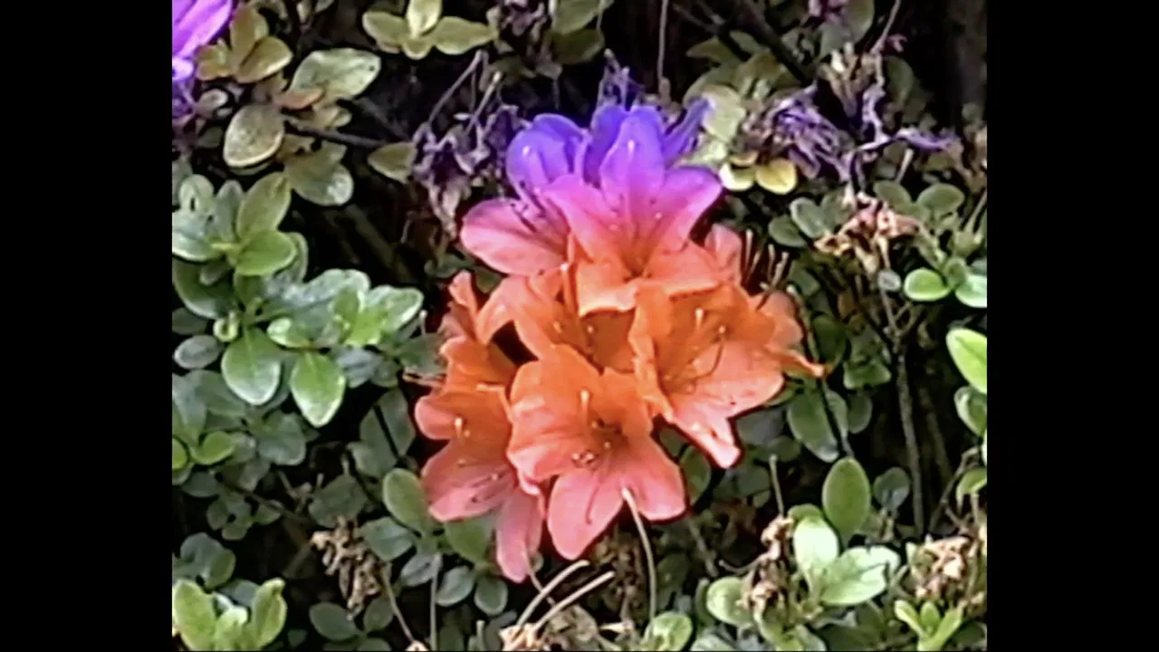 memory consolidation 01 backdrop