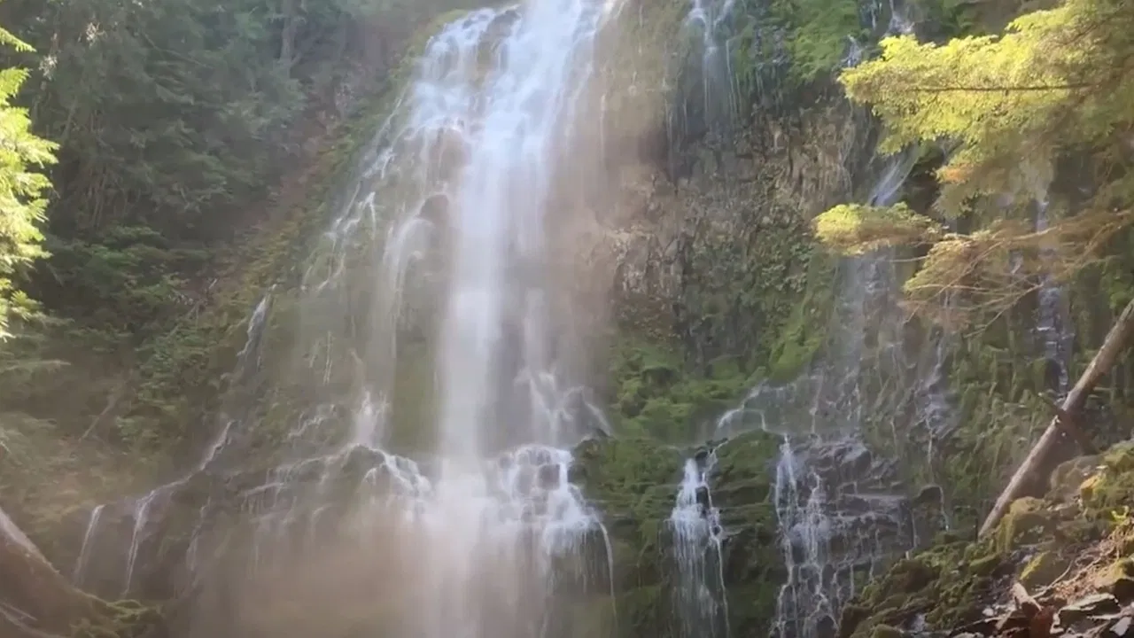 The Oneiric Cathedral backdrop