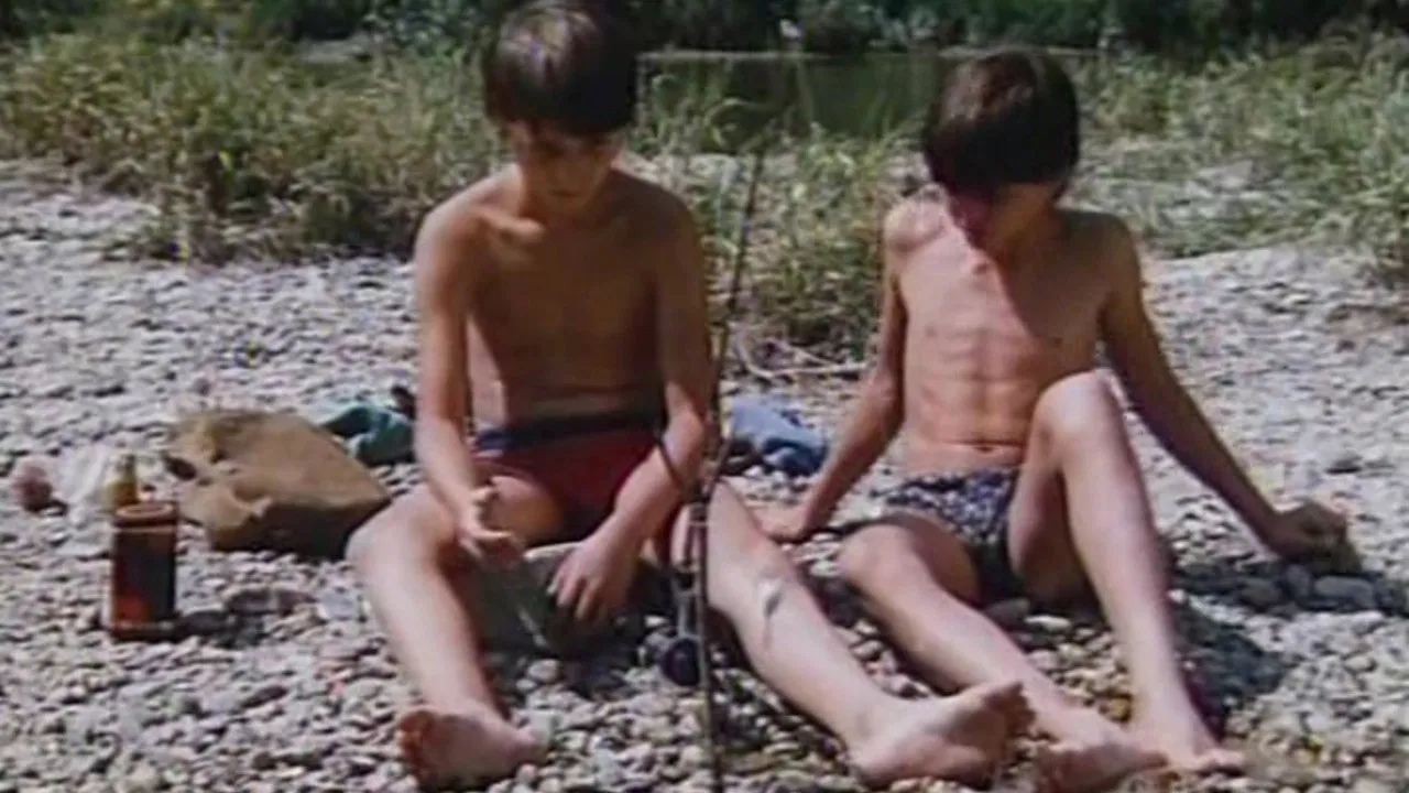 Jays in the Head backdrop