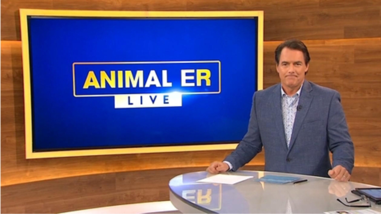Animal ER Live backdrop