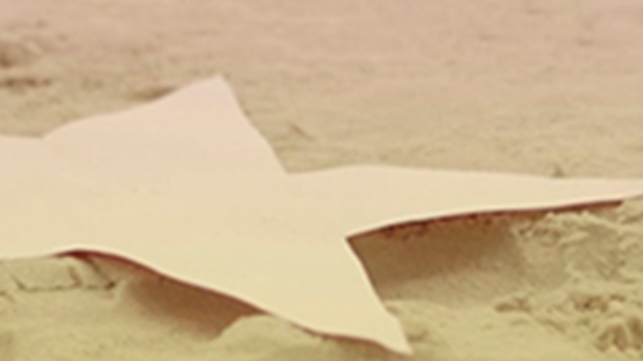 Quero Ir para Los Angeles backdrop